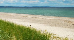 Cape Cod beach